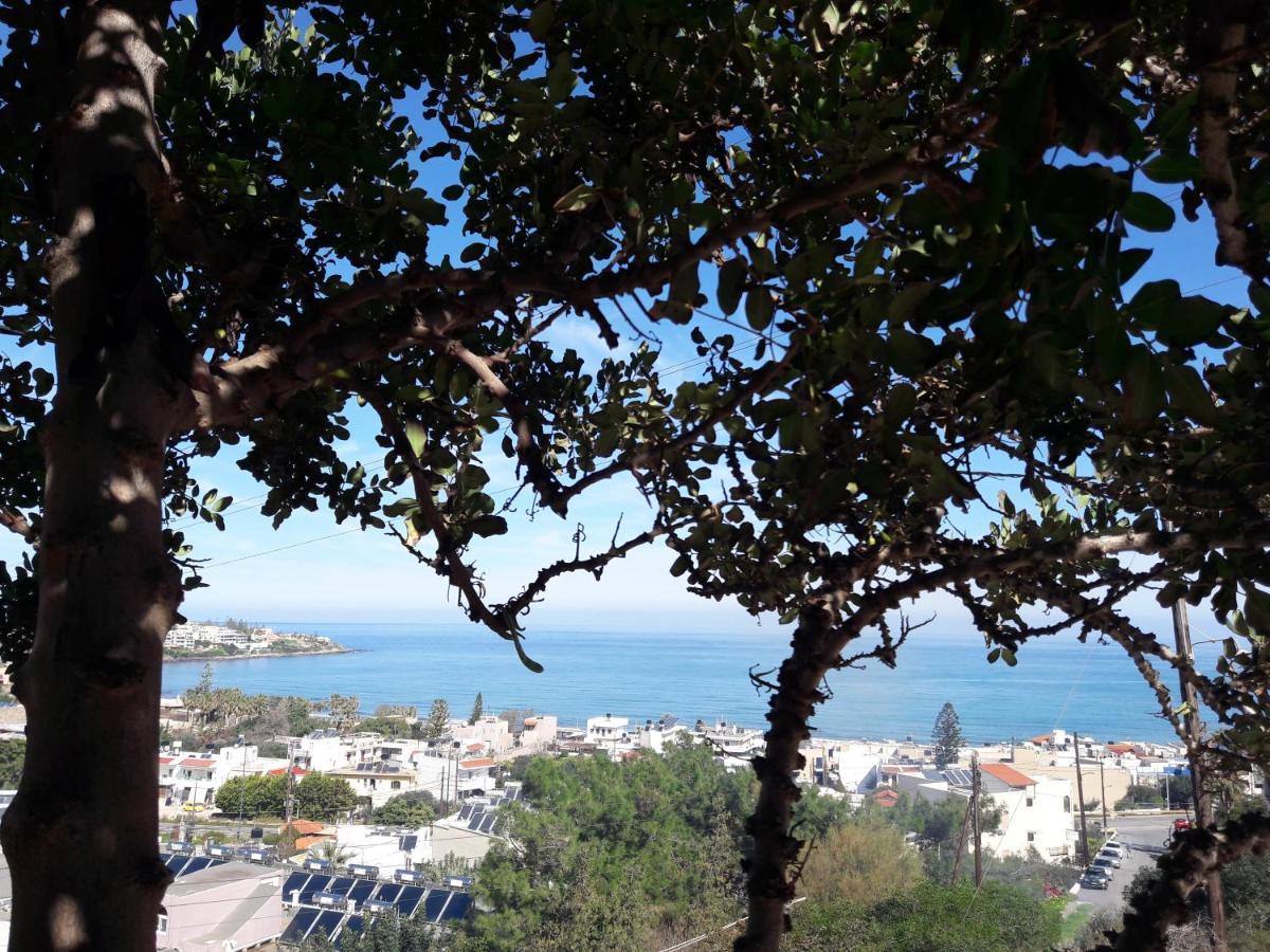 Minois Boutique Hotel (Adults Only) Stalida エクステリア 写真
